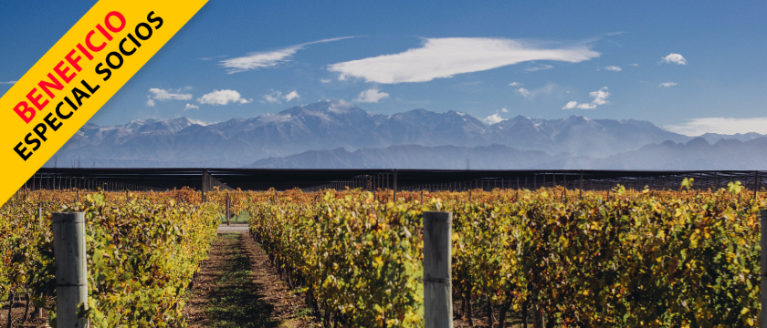 Mendoza con fiesta nacional de la vendimia - Bus todo incluido